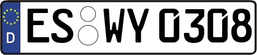 ES-WY0308