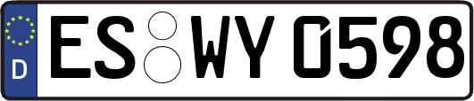 ES-WY0598