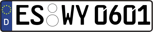 ES-WY0601