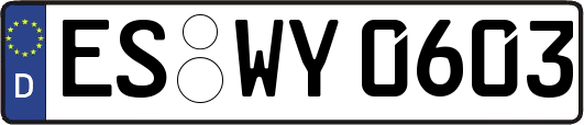 ES-WY0603