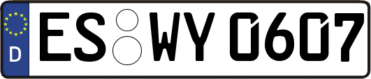 ES-WY0607