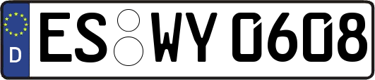 ES-WY0608