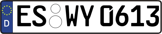 ES-WY0613