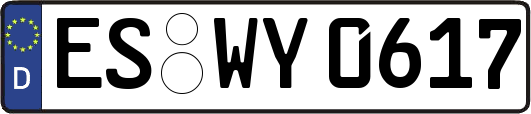 ES-WY0617