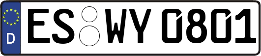 ES-WY0801
