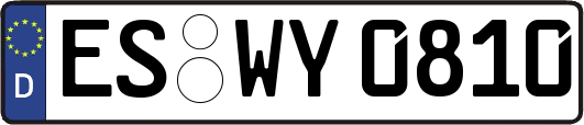 ES-WY0810