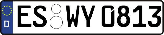ES-WY0813