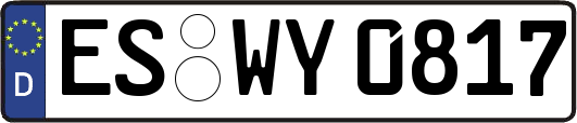 ES-WY0817