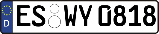 ES-WY0818