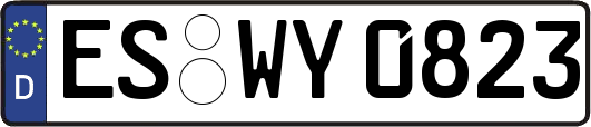 ES-WY0823