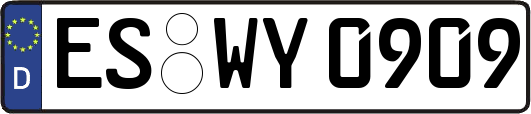 ES-WY0909
