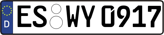 ES-WY0917