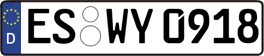 ES-WY0918