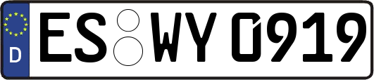 ES-WY0919