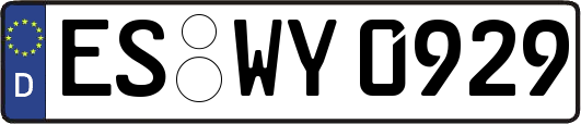 ES-WY0929