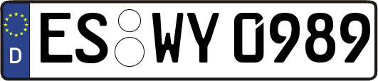 ES-WY0989
