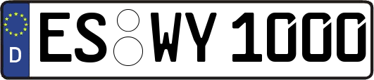 ES-WY1000