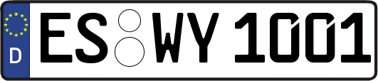 ES-WY1001