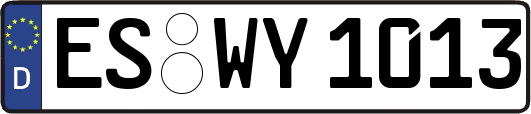 ES-WY1013