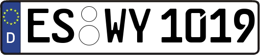 ES-WY1019