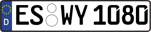 ES-WY1080