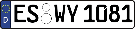 ES-WY1081