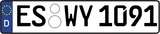 ES-WY1091