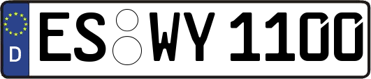 ES-WY1100