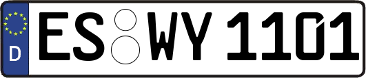 ES-WY1101