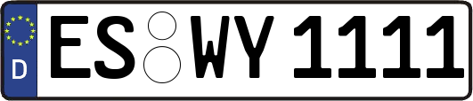 ES-WY1111