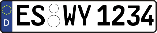 ES-WY1234