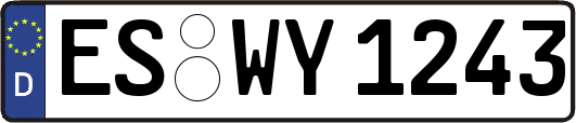 ES-WY1243