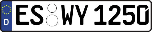 ES-WY1250