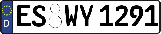 ES-WY1291
