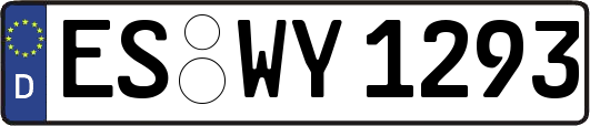 ES-WY1293