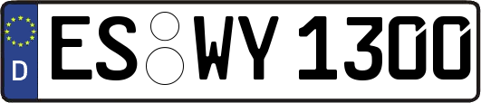 ES-WY1300