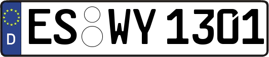 ES-WY1301