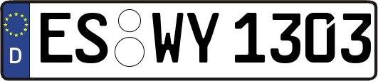 ES-WY1303