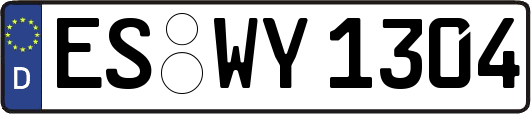 ES-WY1304