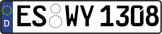 ES-WY1308