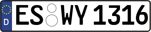 ES-WY1316