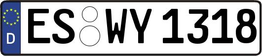 ES-WY1318