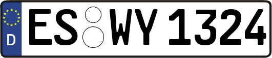 ES-WY1324