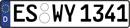 ES-WY1341
