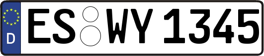 ES-WY1345