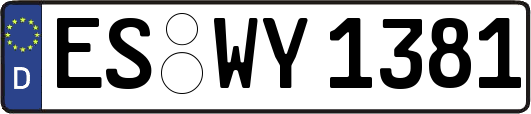 ES-WY1381
