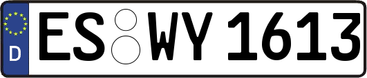 ES-WY1613
