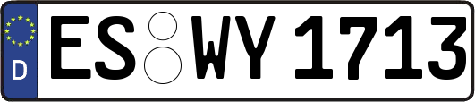 ES-WY1713