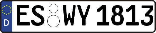 ES-WY1813