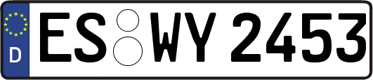 ES-WY2453